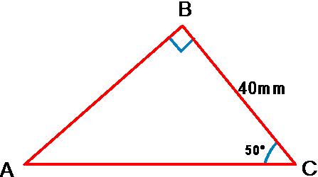 TRIGPIC3.jpg